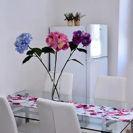 Premium Aria بوريتش